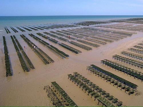 Maison Renovee En Pierres Sejour Spacieux Avec Jardin Et Terrasse Amenagee Pres Omaha Beach & Bayeux A 5Mn De La Mer Tous Commerces Commes 외부 사진